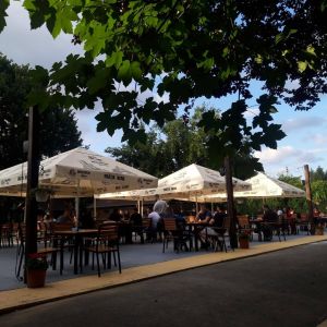 Fotografie Șura - 2