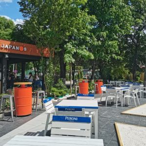 Fotografie Japanos Terasa Herastrau - 3