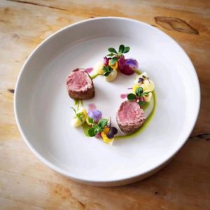 Fotografie Cardinal - 4