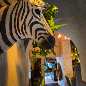 Fotografie Pasquale - 4