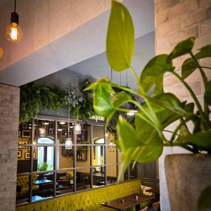 Fotografie Pasquale - 6