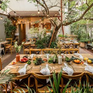 Fotografie Băcănia Veche - Delicatese & Grădină - 0