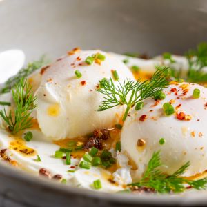 Fotografie Aristocool - 7