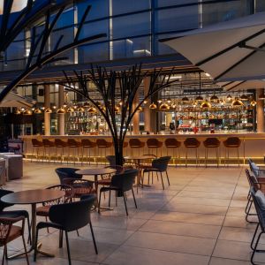 Fotografie Aristocool - 4