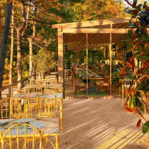 Fotografie Zeno Herăstrău - 0