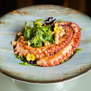 Fotografie Zeno Herăstrău - 2