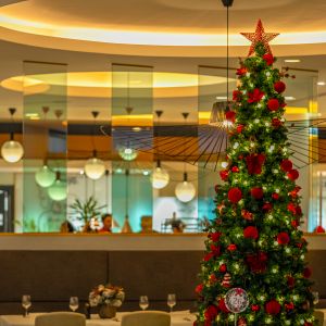 Fotografie Dacia Felix by Radisson - 0