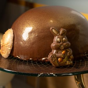 Fotografie Dacia Felix by Radisson - 4