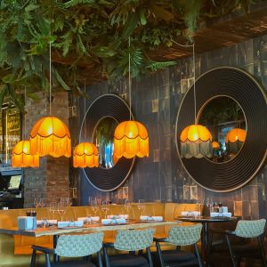 Fotografie Elephante - 5