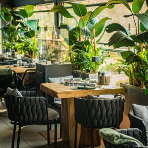 Fotografie Elephante - 0