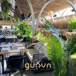 Fotografie Guava - 0