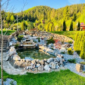 Fotografie Pensiunea Andias - 2