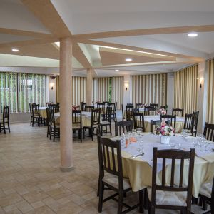 Fotografie Pensiunea Andias - 4