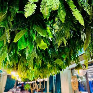 Fotografie Sciccheria Pipera - 1