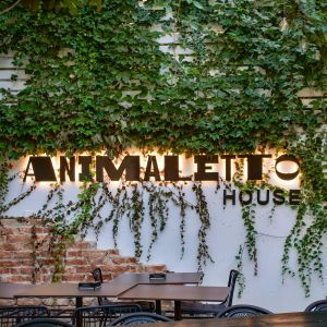 Fotografie Animaletto House - 1
