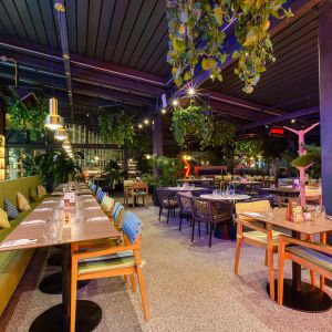 Fotografie TRICKSHOT AFI Brașov - 10