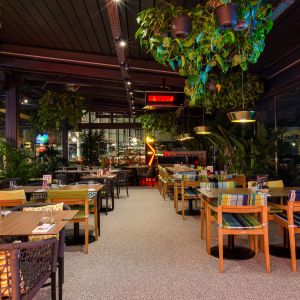 Fotografie TRICKSHOT AFI Brașov - 11