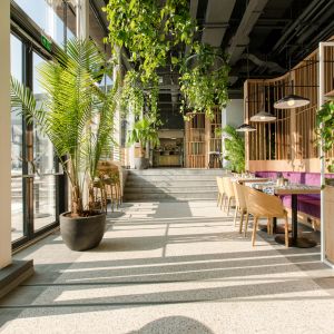 Fotografie TRICKSHOT AFI Brașov - 12