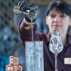 Fotografie Veranda dintre vii by Casa Timiș - 8