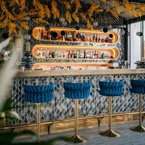 Fotografie Veranda dintre vii by Casa Timiș - 9