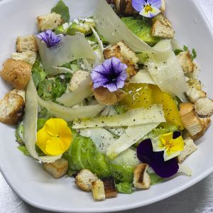 Fotografie Hakuna Matata Garden - 3