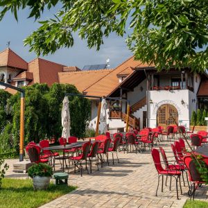 Fotografie Restaurant Conac by  Casa Timiș - 3