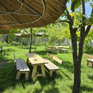 Fotografie Expirat Vama Veche - 5