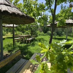 Fotografie Expirat Vama Veche - 6