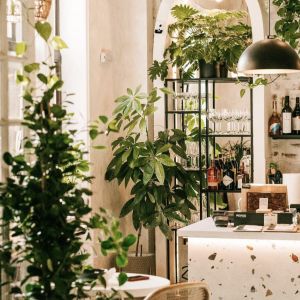 Fotografie Erbario - 6