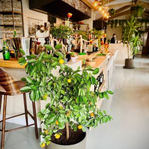 Fotografie Le Petit Paris by Chef Samuel - 1