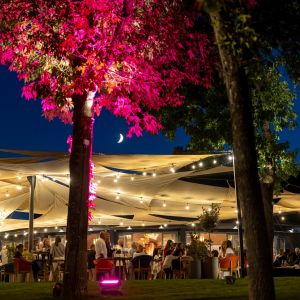 Fotografie Kraft 13 - 1