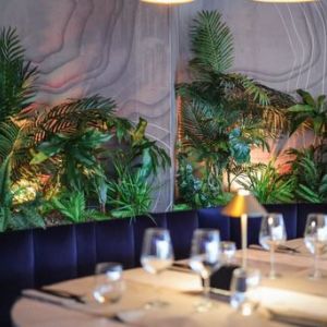 Fotografie Novablu - 0