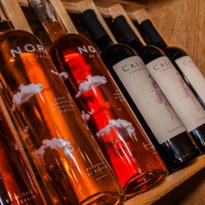 Fotografie Trattoria Giulia - 14