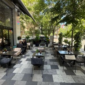 Fotografie Japanos Decebal - 0