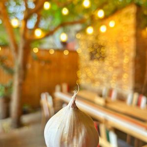 Fotografie GARLIC - bites&tales - 1