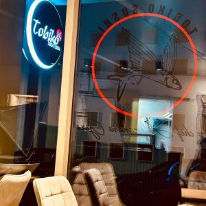 Fotografie Tobiko Sushi Fusion - 16