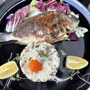 Fotografie Restaurant Gradina Buftea - 9