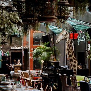 Fotografie Nomad Skybar - 2