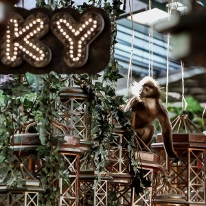 Fotografie Nomad Skybar - 3