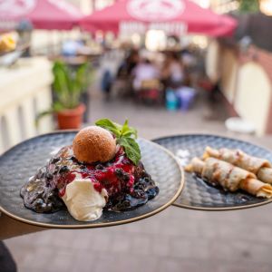 Fotografie Conacul Zeneea - 6