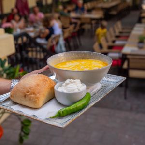 Fotografie Conacul Zeneea - 4