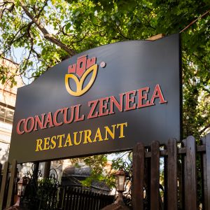 Fotografie Conacul Zeneea - 0