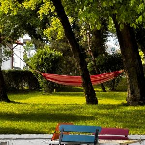 Fotografie Terasa La Hamace - 2