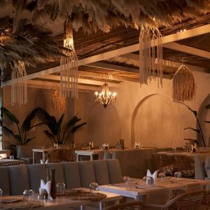 Fotografie Medusa - 8