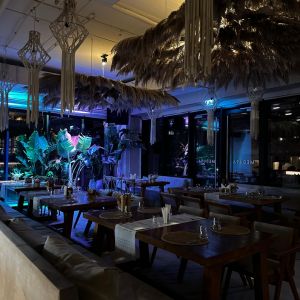 Fotografie Medusa - 5