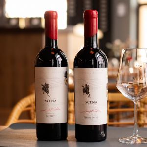 Fotografie Dze Best - 7