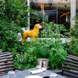 Fotografie BRERA - 5