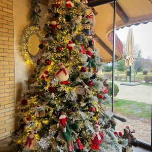 Fotografie Restaurant Toscano - 3