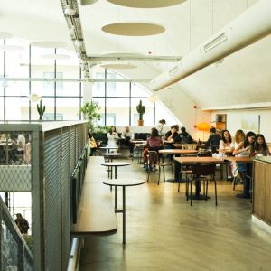 Fotografie Gluten Glory - 0