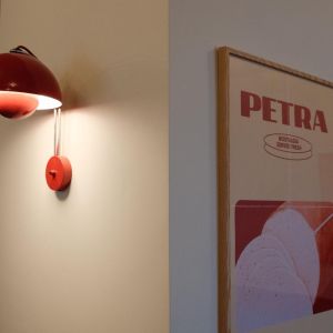 Fotografie Petra - 0